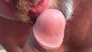 Models Tagged 'bear'