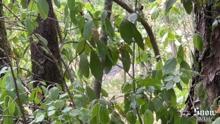 Models Tagged 'fit-girl'