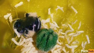 Models Tagged 'natural-tits'